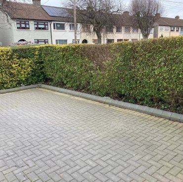 152027006_2918309188400151_2386874942656831156_n