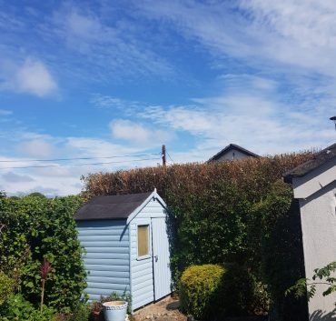 204653388_3009509399280129_2519094808749704705_n