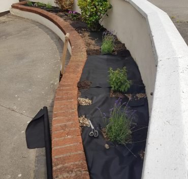 210359701_3014106525487083_660147180551600753_n