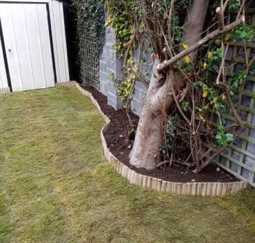 241832171_3068190920078643_2626660749203321311_n