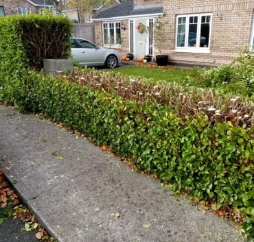 264324628_3130974740466927_1469272456893652616_n