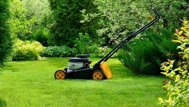 Garden-maintenance-cost