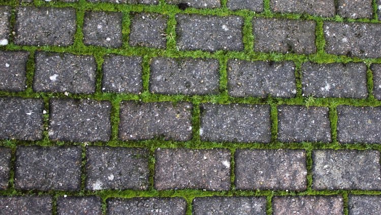 driveway-g9fa576672_1920