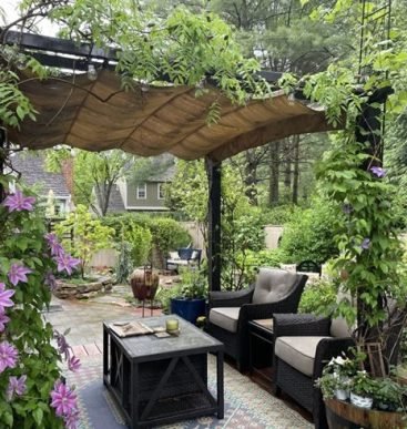 patio-pergola-with-vines-alli-guleria_16369