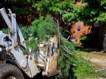rsz_pile-tree-branches-in-the-city-street-removal-of-branch-removal-in-tractor-bucket-