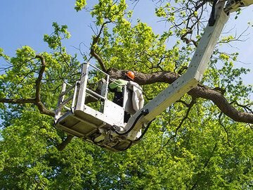 rsz_shutterstock_496388083-cropped-e1651729798491